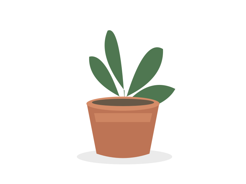 Illustrated plant with its background removed