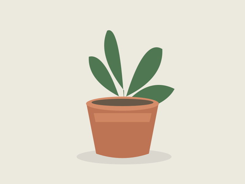 Original plant image for comparison